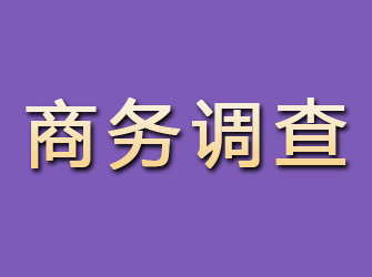 滨江商务调查